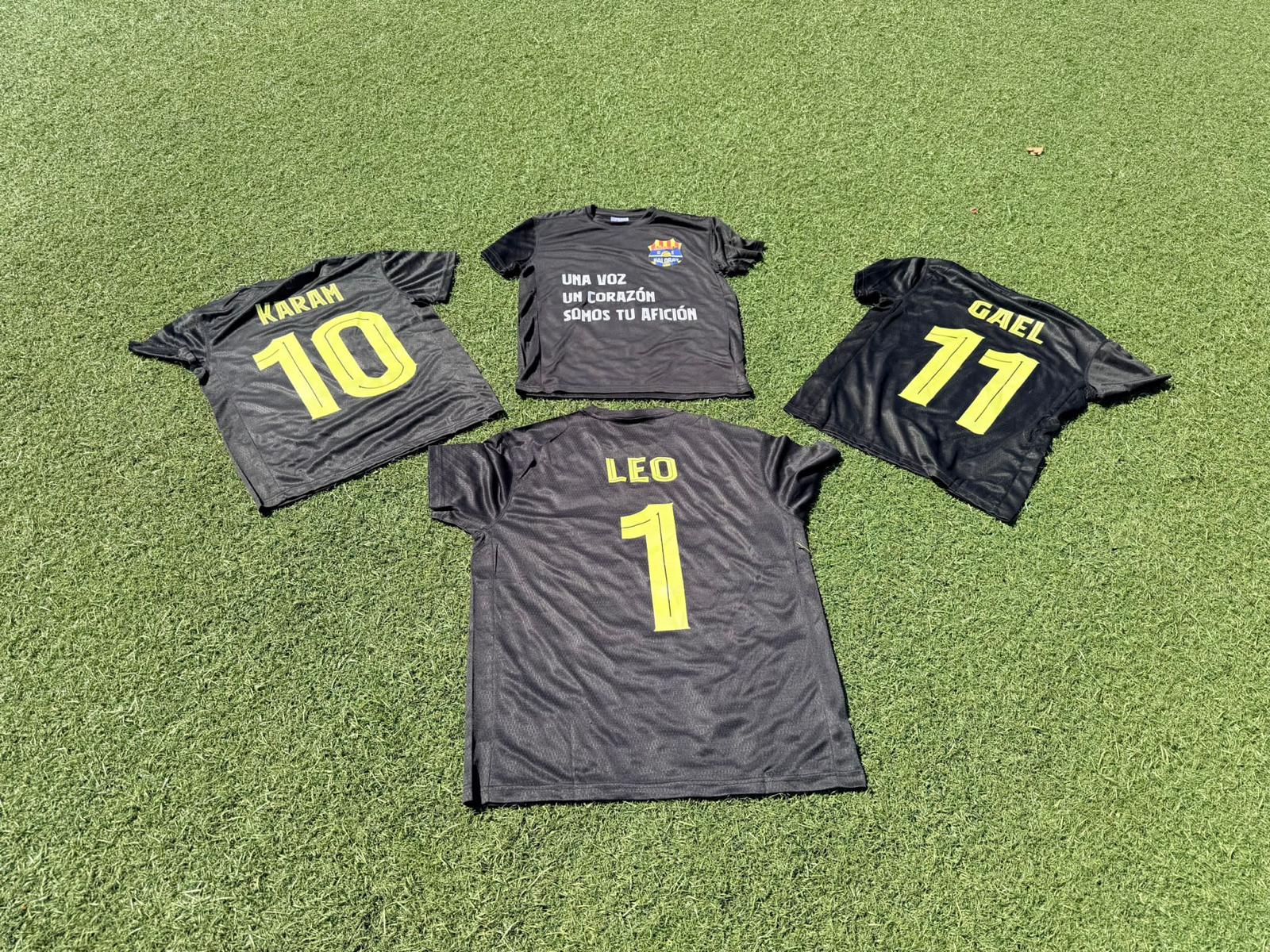 Camiseta